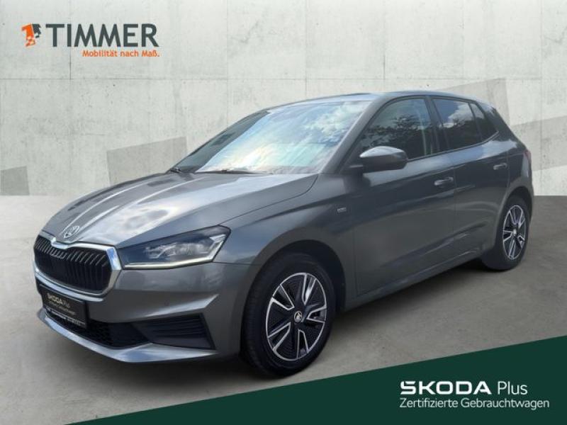 SKODA  Fabia 1.0 TSI TOUR +LED +CARPLAY +SHZ +ALU +PDC, Graphite Grau Metallic