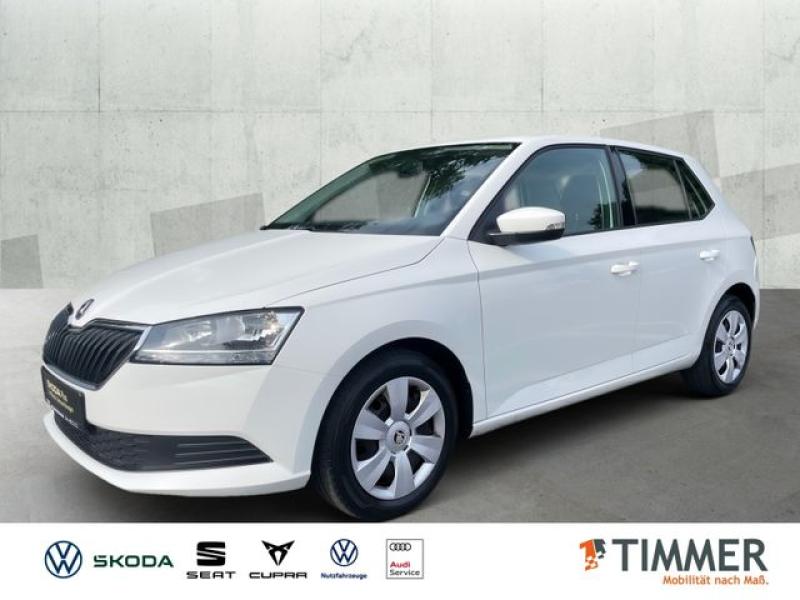 SKODA  Fabia III 1.0 COOL PLUS *KLIMA *DAB *, Candy-Weiß