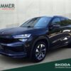 SKODA  Kodiaq 2.0 TDI DSG 4x4 SPORTLINE +7-SITZE +AHK +, Black Magic Perleffekt