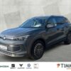 VW  Tiguan, Delfingrau