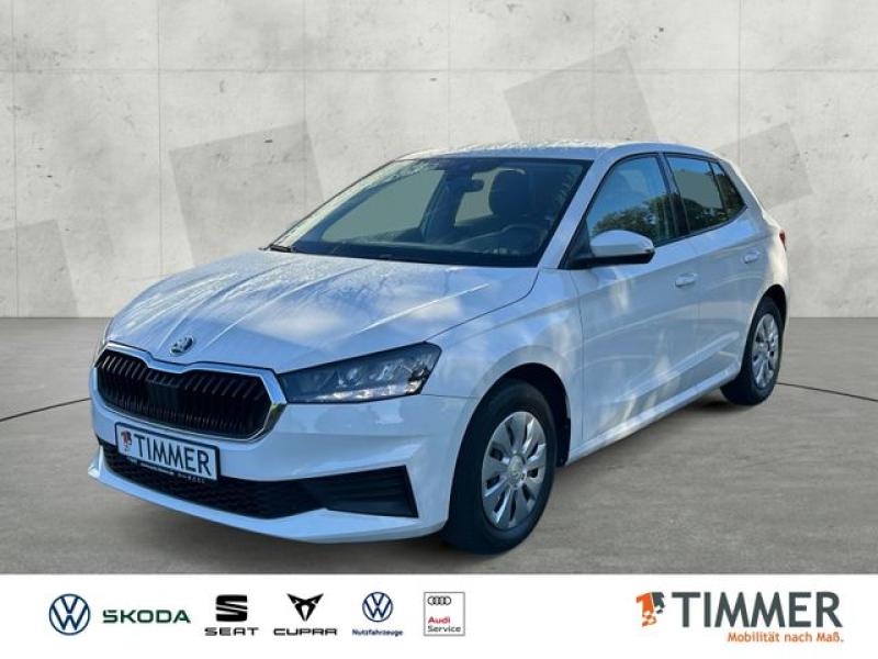 SKODA  Fabia 1.0 +LED +CARPLAY +SHZ +DAB +ALLWETTER +, Candy Weiß