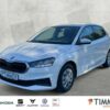 SKODA  Fabia 1.0 +LED +CARPLAY +SHZ +DAB +ALLWETTER +, Candy Weiß