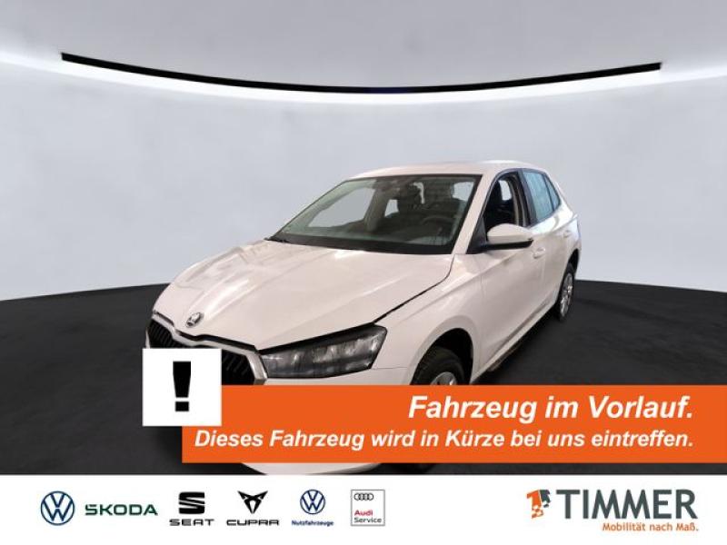 SKODA  Fabia 1.0 ACTIVE +LED +PDC +CARPLAY +SHZ +DAB +, Candy Weiß