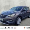OPEL  Grandland X 1.2 Turbo INNOVATION (EURO 6d) AHK*A, Monsteingrau
