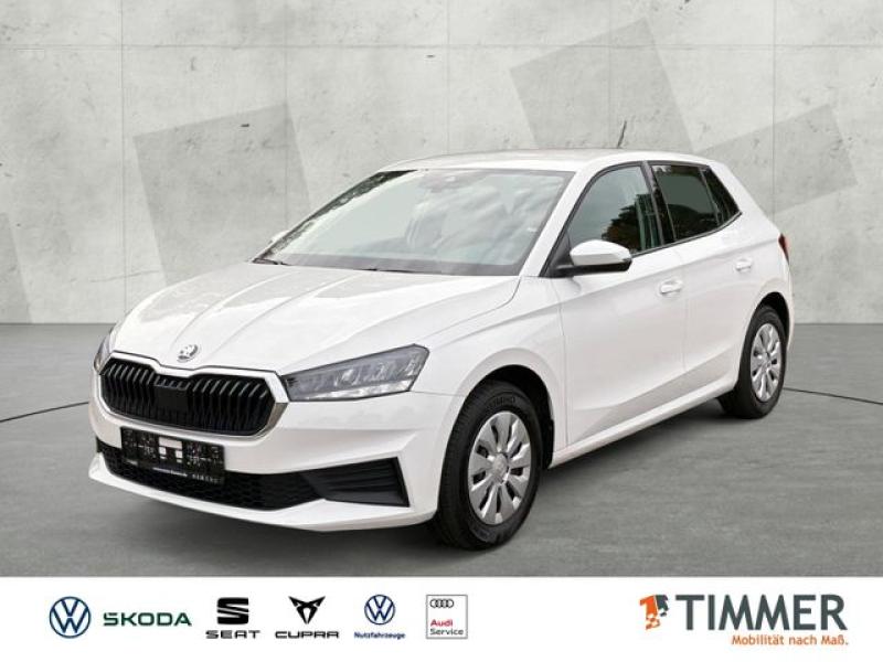 SKODA  Fabia 1.0 ACTIVE +LED +PDC +CARPLAY +SHZ +DAB +, Candy Weiß